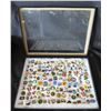 Image 1 : Multiple Pins & Medals: Characters, Animals, Sports, Awards, etc in Display Case 16"L
