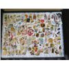 Image 2 : Multiple Pins & Medals: Characters, Animals, Ladies, Sports, etc in Display Case 16"L