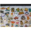 Image 8 : Multiple Pins & Medals: Cities, Cars, Sports, Food, Music, etc in Display Case 16"L