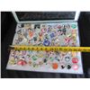 Image 13 : Multiple Pins & Medals: Cartoon Characters, Animals, Disney, etc in Display Case 16"L