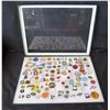 Image 1 : Multiple Pins & Medals: Characters, Animals, Places, Ribbons, etc in Display Case 16"L