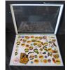 Image 1 : Multiple Pins & Medals Softball USA AS NSA AAAAA in Display Case 16"L