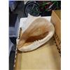 Image 2 : BOX OF SHELLS INCLUDING CONCH SHELLS