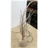 Image 3 : 2 FIBRE OPTIC LAMPS
