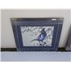Image 1 : Limited edition print Stellar Jay by Jim Collins signed and numbered