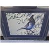 Image 2 : Limited edition print Stellar Jay by Jim Collins signed and numbered
