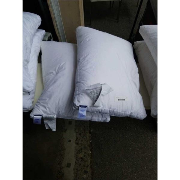 2 CASPER STANDARD THE DOWN PILLOWS