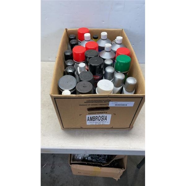 BOX OF PAIINT, AUTOMOTIVE CLEANER, VARIOMORPHIC POLISH AND MORE