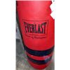 Image 2 : EVERLAST PUNCHING BAG