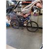 Image 1 : BLUE NAKAMURA BIKE