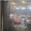 Image 2 : 2 CHECKERPLATE PANELS 80 INCH X 4 FOOT
