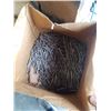 Image 2 : 2 BOXES OF NAILS AND CAT 5E RISER CABLE