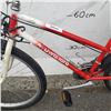 Image 2 : RED KUWAHARA BIKE