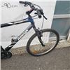 Image 3 : GREY RALEIGH BIKE