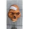 Image 2 : VINTAGE MARIONETTE AND CAST SKULL FIGURE
