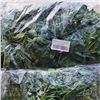Image 4 : 4 NEW PACKS OF 84FT ARTIFICIAL IVY LEAF DECOR RETAIL $100