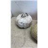 Image 8 : LOT OF DECORATIVE PUMPKINS AND PLASTIC RAM SKULLS