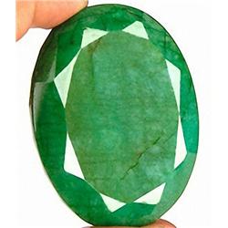 584.18ct. Rare Museum Grade Certified Natural S. American Emerald RETAIL $37500 (GEM-3138)