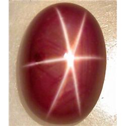 2.81ct.  6 Ray Red Natural Star Sapphire Oval RETAIL $1300 (GEM-3874)