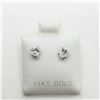 BZ322-77 14K WHITE GOLD CUBIC ZIRCONIA EARRINGS