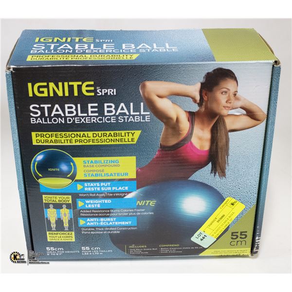 NEW IGNITE STABLE BALL D XERCISE LARGE 22 