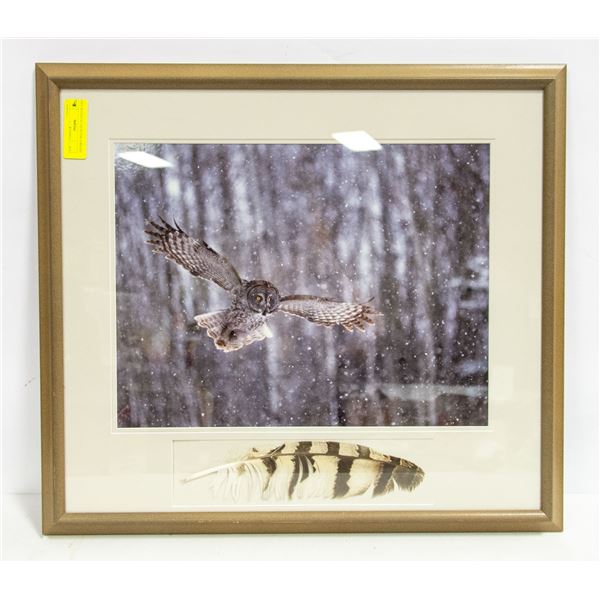 FRAMED WILDLIFE OUTDOOR OWL