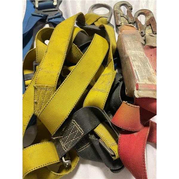 TWO Harnesses and ONE Lanyard