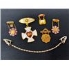 Image 1 : Group lot of Vintage oddfellows fraternal pins