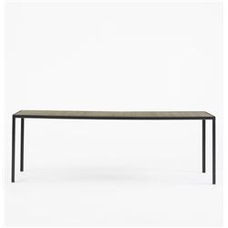 Nelson & Associates Steelframe dining table