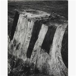 Arthur Siegel untitled (photograph)