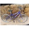 Image 1 : Triumph Variable Speed Bike from St Andrews Jct HWY #8 + #67 1 1/4 Mile South on HWY #8  For Viewing