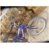 Image 2 : Triumph Variable Speed Bike from St Andrews Jct HWY #8 + #67 1 1/4 Mile South on HWY #8  For Viewing