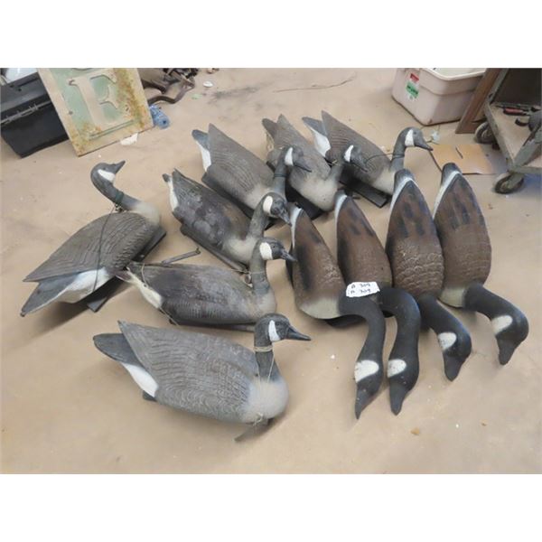 11 Canadian Goose Decoys - 7 Are Floaters