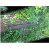 Image 4 : Angle Iron Pipe Tubing 6" x6" Skids , 10 ) 2" - 20" Flat Iron Angle - 3 Locations in yard   *** Item