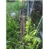 Image 5 : Angle Iron Pipe Tubing 6" x6" Skids , 10 ) 2" - 20" Flat Iron Angle - 3 Locations in yard   *** Item