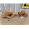 Image 1 : 2 Wooden Propeller Displays