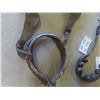Image 2 : Dog + Horse Harness & Sleigh Bells