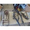 Image 4 : Dog + Horse Harness & Sleigh Bells