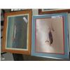 Image 2 : 6 Framed Airplane Photos - Biggest 16" x 20"