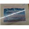 Image 2 : 5 Prints of Planes- Biggest 20" x 28"