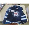 Image 3 : WPG Jets Jersey - Laine Sz LG