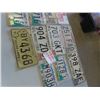 Image 3 : 11 License Plates