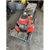 Image 1 : Troybuilt Mower + Bag with Honda Engine