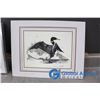 Image 7 : Loon Art Peices - Framed and Unframed