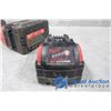 Image 3 : Milwaukee Sawzal W/ 2 Batteries