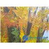 Image 3 : Ornate Framed "Autum Forest" Painting