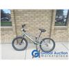 Image 1 : Silver Youth 20" BMX Diamond Back