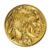 Image 1 : 2008 $50 Indian Head Buffalo Gold Coin