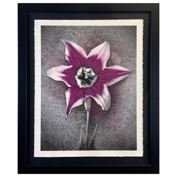 Life by Mr Brainwash