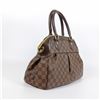 Image 3 : Louis Vuitton Damier Ebene Canvas Leather Trevi PM Handbag